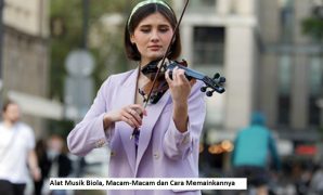 Alat Musik Biola