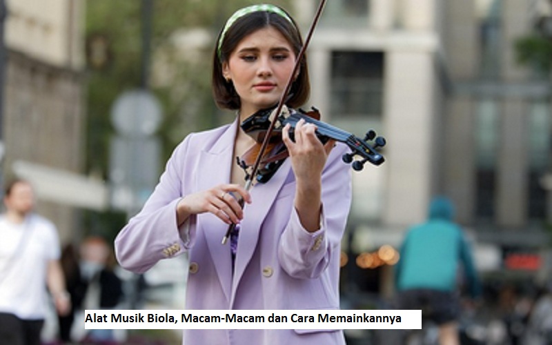 Alat Musik Biola